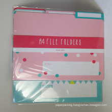 A4 Paper File Folder Pack of 6